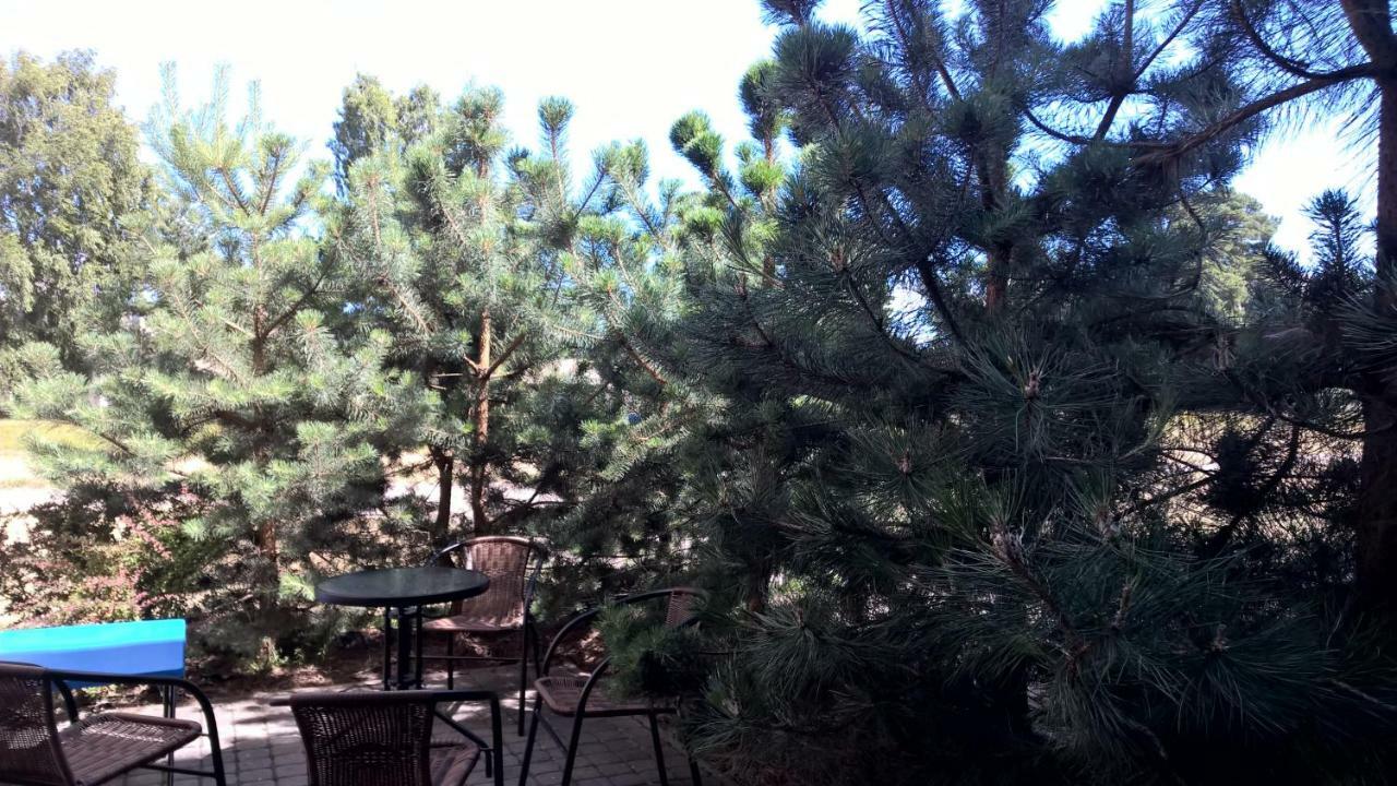 Roberto Apartamentai 팔랑가 외부 사진